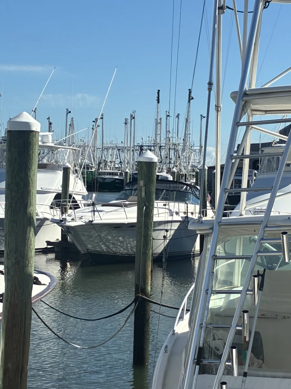 Boats moored in a working marina, photographed by Tim